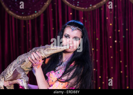 Nahaufnahme von exotischen dunklen Haaren Bauchtänzerin in hellen Kostüm mit kleinen Alligator mit roten Vorhang auf der Bühne Stockfoto