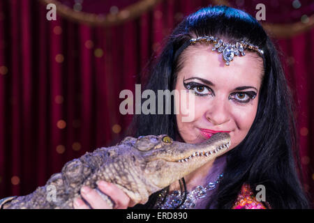 Nahaufnahme von exotischen dunklen Haaren Bauchtänzerin in hellen Kostüm mit kleinen Alligator mit roten Vorhang auf der Bühne Stockfoto