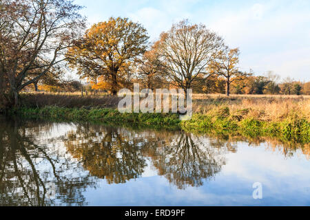 Fluss Wey am Pyrford, typische hübsche Surrey Landschaft im Winter, am ruhigen Tag mit blauem Himmel und Baum Reflexionen in stilles Wasser Stockfoto