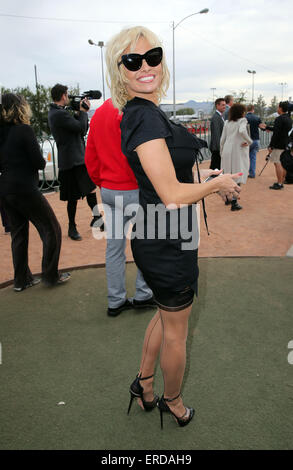 Pamela Anderson und Chrissie Hynde Give Away Gay PETA Leader bei Hochzeit in Las Vegas zu unterzeichnen mit: Pamela Anderson wo: Las Vegas, Nevada, Vereinigte Staaten bei: Kredit-27. November 2014: Judy Eddy/WENN.com Stockfoto