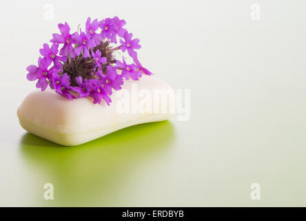 Seife mit lila Blüten der Prairie Eisenkraut, auf grünem Hintergrund gradient gekrönt Stockfoto