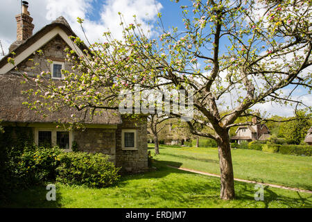 Ferienhaus und Apple Blossom an Blaise Hamlet - eine Sammlung von malerischen Häusern, entworfen von John Nash in Bristol Stockfoto