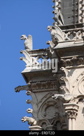 Wasserspeier in der Kathedrale Notre Dame. Paris, Frankreich Stockfoto