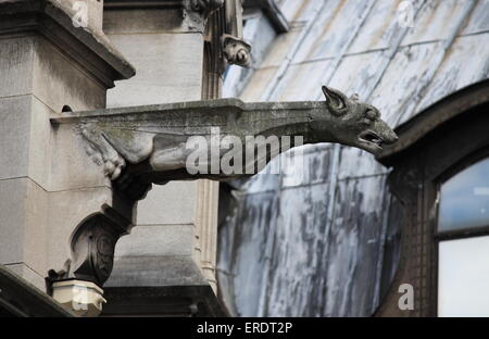 Wasserspeier in Saint Germain Auxerrois Kirche. Paris, Frankreich Stockfoto