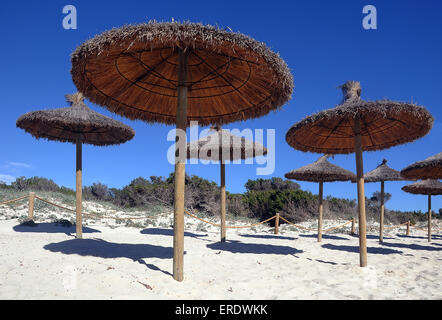 Stroh Sonnenschirme, Strand Es Trenc, Mallorca, Spanien Stockfoto