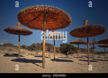 Stroh Sonnenschirme, Strand Es Trenc, Mallorca, Spanien Stockfoto