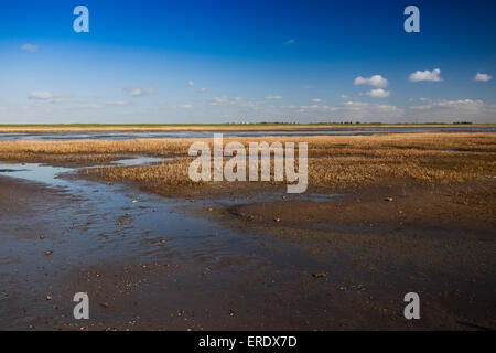 Nationalpark Wattenmeer, in der Nähe von Mandö Insel, Jütland, Nordsee, Dänemark Stockfoto