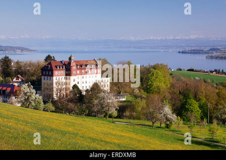 Blick auf Spetzgart Schloss über dem Bodensee, die Alpen, Überlingen, Baden-Württemberg, Deutschland Stockfoto