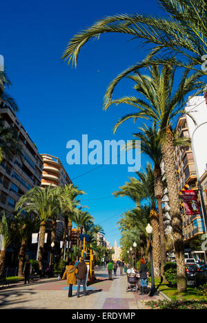 Avenida Federico Soto, Boulevard, Alacant, Alicante, Costa Blanca, Spanien Stockfoto
