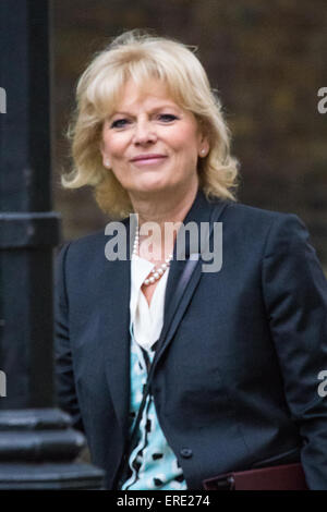 London, UK. 2. Juni 2015. Minister für Energie und Klima Änderung Amber Rudd kommt in 10 Downing Street, der wöchentlichen Kabinettssitzung zu besuchen. Bildnachweis: Paul Davey/Alamy Live-Nachrichten Stockfoto