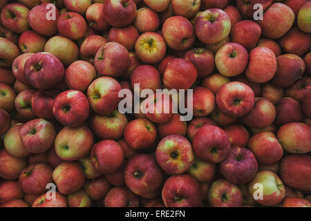 Haufen von frischen Äpfeln Stockfoto