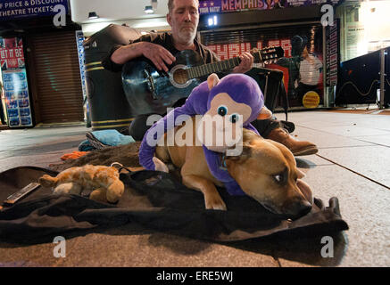 Obdachlosen Mann als Straßenmusikant und Gitarre in Soho mit seinem Hund zu spielen. Stockfoto