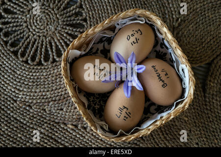 Frisch Eiern mit Huhn Namen darauf geschrieben, in kleinen Wickerwirk Korb auf Korbwaren Matte gelegt. Stockfoto