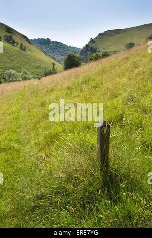Großbritannien, England, Staffordshire, Dovedale, Milldale, Wanderweg Markierung Post in der Mitte der abfallenden Wiese Stockfoto