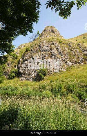 Großbritannien, England, Staffordshire, Dovedale, Fluss Dove fließt unter Felsvorsprung auf Baley Hügel Stockfoto