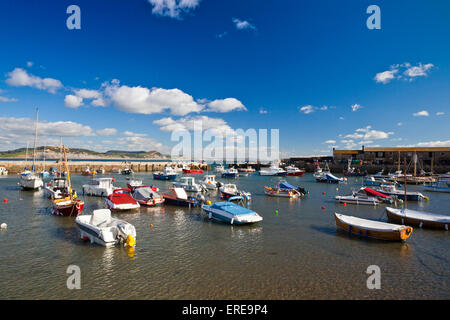 Eine Auswahl an bunten Boote im Hafen von Lyme Regis auf der Jurassic Coast, Dorset, England, UK Stockfoto