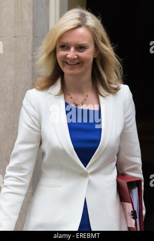 Downing Street, London, 2. Juni 2015. Elizabeth Truss, Secretary Of State for Environment, Food and Rural Affairs, Blätter 10 Downing Street nach der wöchentlichen Sitzung des Kabinetts. Bildnachweis: Paul Davey/Alamy Live-Nachrichten Stockfoto