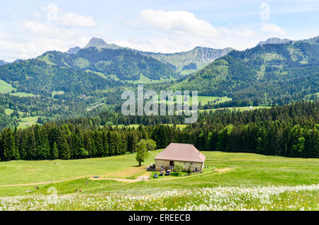 Farm in den Bergen der Schweiz in der Nähe von Prantin, Montreux Stockfoto