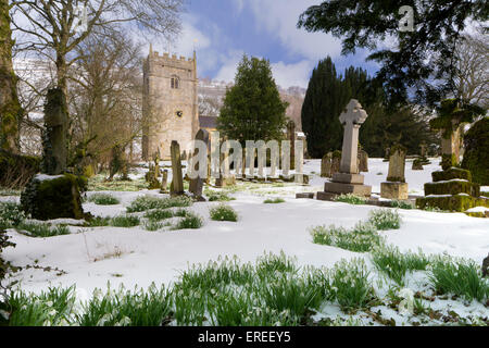 Schneeglöckchen in St. Oswald Kirche, Arncliffe, Littondale, Wharfedale, der Yorkshire Dales. Stockfoto