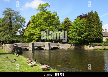 Eine mittelalterliche Lastesel-Brücke überspannt den Fluss Wye bei Ashford-in-the-Water, einem hübschen Dorf im Peak District National Park, UK Stockfoto