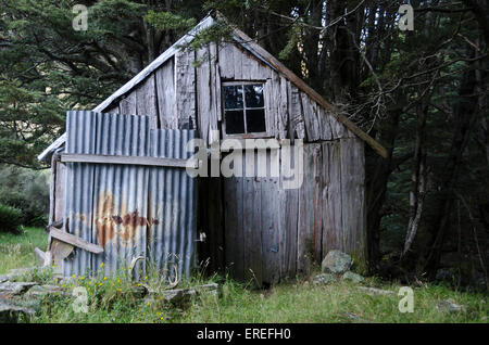 Alte Hütte im Wald, Berg Nikolaus, Central Otago, Südinsel, Neuseeland Stockfoto