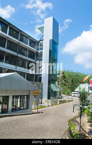 Mackwoods Labookellie Teefabrik und Tee im Zentrum am labookellie Stockfoto