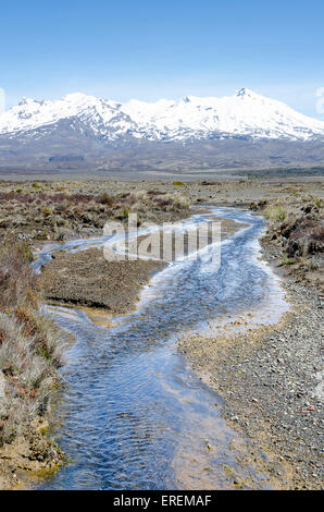 Stream in Wüste und Schnee bedeckt Vulkan Mount Ruapehu, Rangipo Wüste, Tongariro Nationalpark, Nordinsel, Neuseeland Stockfoto