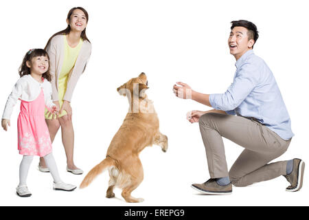 Glückliche junge Familie mit Hund Stockfoto