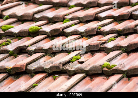 Eine alte rote Dachziegel mit Moos darauf, Wasserschutz, architektonische Details Stockfoto