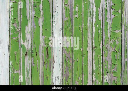 Alte bemalte grünen Holztür mit peeling Paint Textur Stockfoto