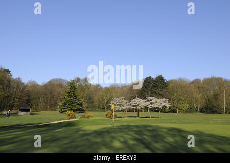 Blick über Flagge am 18. Grün mit Schatten in Richtung 1. Abschlag, Thorndon Park Golf Club Brentwood Essex England Stockfoto