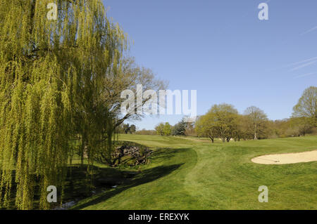 Blick über den kleinen Bach und Willow Tree auf das 4. Loch Thorndon Park Golf Club Brentwood Essex England Stockfoto