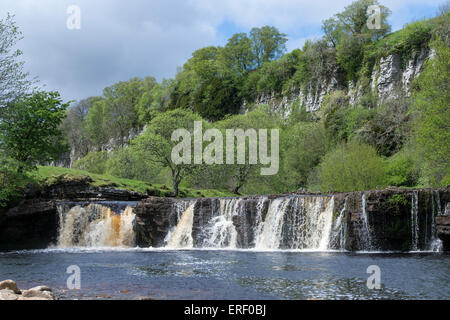 Wainwath fällt auf die Fluß Senke, in der Nähe von Keld, Swaledale im Frühsommer, North Yorkshire, UK. Stockfoto