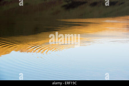 Dämmerung Sonnenuntergang Reflexionen und Wellen auf einem Schottischen Loch. Schottland Stockfoto