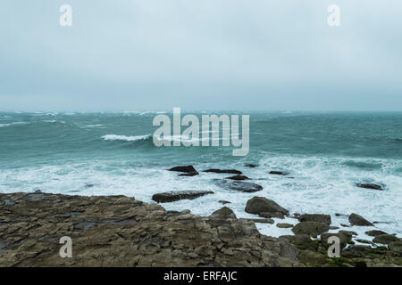 Portland Bill, UK. 2. Juni 2015. UK-Wetter: ein sehr stürmischen Tag zunächst neblig und windig, aber das Wetter verbessert © Paul Chambers Stockfoto