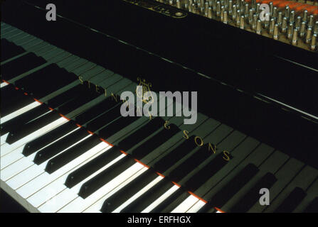 Hautnah am Grand-Piano-Tastatur von Steinway Stockfoto