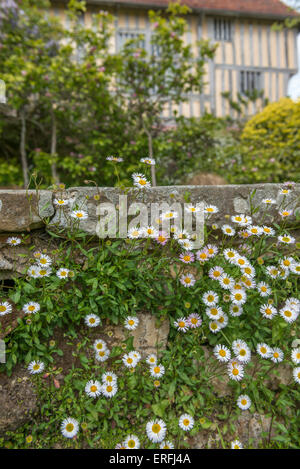 Great Dixter House und Gärten. Northiam, Roggen. East Sussex. England. UK Stockfoto