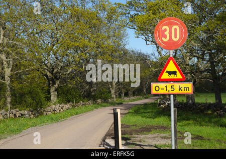 Landstraße mit Straße Zeichen in eine schwedische ländliche Landschaft im Frühling Stockfoto