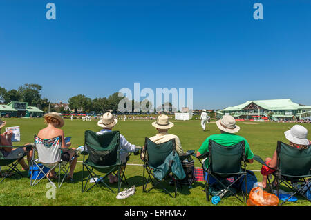 Zuschauer bei einem Cricket-spiel. Horntye Park, Hastings, East Sussex, England, Großbritannien Stockfoto