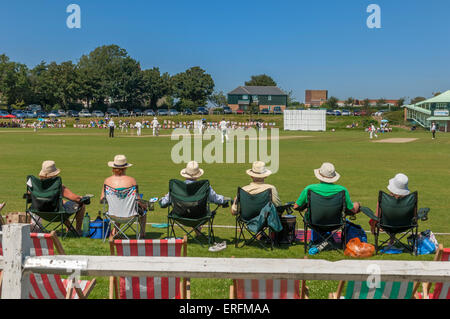 Zuschauer bei einem Cricket-spiel. Horntye Park, Hastings, East Sussex, England, Großbritannien Stockfoto