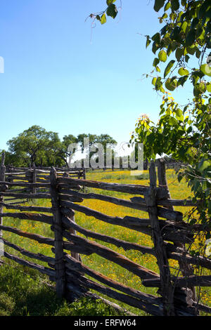 Umrahmt von Felder gelben Kegel Blumen und rustikalen Split-Schiene Zäune, erschafft Johnson Siedlung eine frühen Texas Farm. Stockfoto