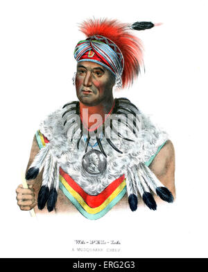 Wapella, Indianerhäuptling der Füchse (Musquakees), die Keokuk, Chef der Füchse und Sauks, nach Washington im Jahre 1837 - Porträt Feder Kopfschmuck und Bear Claw Halskette tragen begleitet. Nach dem Lackieren von Charles Bird King, 1785-1862. Stockfoto