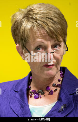 Jocelyn Davies bin für Plaid Cymru Südwales Osten. Stockfoto