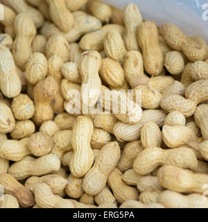 geröstete Erdnüsse in meschotschek bei einem Dorffest Stockfoto