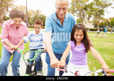 Großeltern Lehre Enkel, Ride Bikes im Park Stockfoto