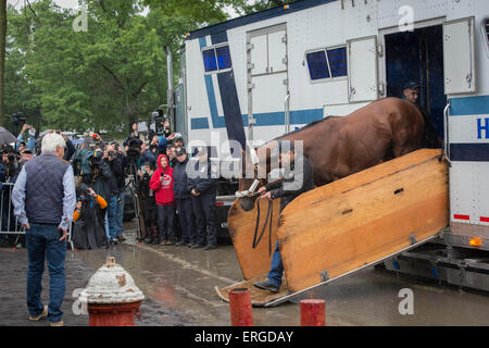 Elmont, New York, USA. 2. Juni 2015. Trainer BOB BAFFERT schaut zu, wie 2015 Belmont Stakes hoffnungsvollen amerikanisches PHAROAH, kommt nach Belmont Park, heute Nachmittag, Dienstag, 2. Juni 2015. Bildnachweis: Bryan Smith/ZUMA Draht/Alamy Live-Nachrichten Stockfoto