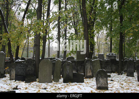 Alte jüdische Friedhof Warschau, Polen.  Grabsteine und Grabsteine Übersicht im Schnee. Friedhof in 1806 und verteilt über 83 Stockfoto