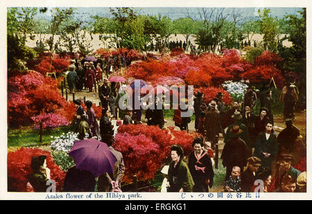 Hibiya-Park, Tokio. Hibiya-Park wurde im Jahr 1903 veröffentlicht. Die Blumen in voller Blüte sind Azalea Blumen, indem dieses Foto in Stockfoto