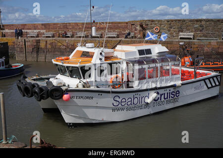 Seabird Centre Katamaran in North Berwick Harbour Stockfoto