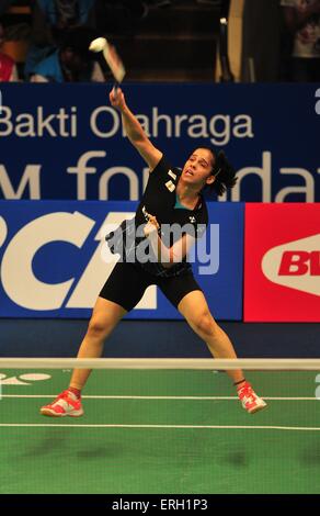 (150603)--JAKARTA, 3. Juni 2015 (Xinhua)--Saina Nehwal Indien Renditen der Federball zu Nichaon Jindapon von Thailand im Dameneinzel vorläufige match bei BCA Indonesien Open 2015 in Jakarta, Indonesien, 3. Juni 2015. Nehwal gewann 2: 0. (Xinhua/Zulkarnain) Stockfoto